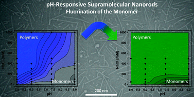 Graphical abstract: Tuning the pH-triggered self-assembly of dendritic peptide amphiphiles using fluorinated side chains