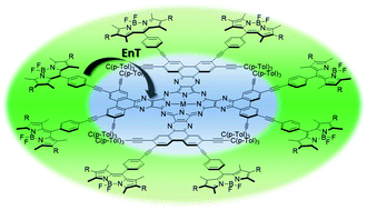 Graphical abstract: En route towards panchromatic light harvesting: photophysical and electrochemical properties of Bodipy–porphyrazine conjugates