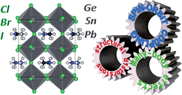 Graphical abstract: Interplay of spin–orbit coupling and lattice distortion in metal substituted 3D tri-chloride hybrid perovskites