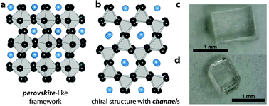 Graphical abstract: Role of entropic effects in controlling the polymorphism in formate ABX3 metal–organic frameworks