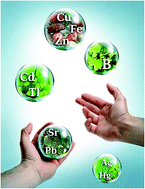 Graphical abstract: Assessment of the natural variability of B, Cd, Cu, Fe, Pb, Sr, Tl and Zn concentrations and isotopic compositions in leaves, needles and mushrooms using single sample digestion and two-column matrix separation