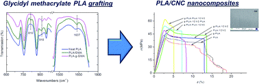 Graphical abstract: Melt free radical grafting of glycidyl methacrylate (GMA) onto fully biodegradable poly(lactic) acid films: effect of cellulose nanocrystals and a masterbatch process