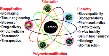 Graphical abstract: Bioapplication of graphene oxide derivatives: drug/gene delivery, imaging, polymeric modification, toxicology, therapeutics and challenges