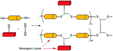 Graphical abstract: The first thiol–yne click chemistry approach for the preparation of liquid crystalline elastomers