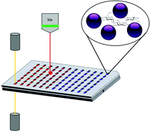 Graphical abstract: High throughput LSPR and SERS analysis of aminoglycoside antibiotics