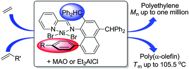 Graphical abstract: Synthesis of high molecular weight polyethylene using iminopyridyl nickel catalysts