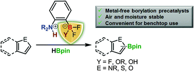 Graphical abstract: Bench-stable frustrated Lewis pair chemistry: fluoroborate salts as precatalysts for the C–H borylation of heteroarenes