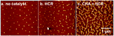 Graphical abstract: Triggered and catalyzed self-assembly of hyperbranched DNA structures for logic operations and homogeneous CRET biosensing of microRNA