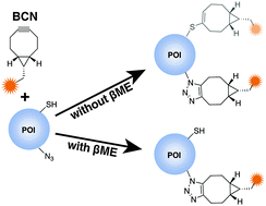 Graphical abstract: A simple method for enhancing the bioorthogonality of cyclooctyne reagent