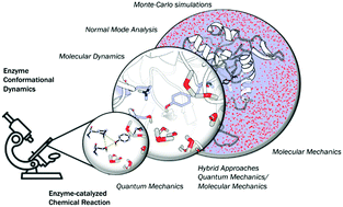 Graphical abstract: Computational tools for the evaluation of laboratory-engineered biocatalysts