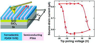 Graphical abstract: Organic ferroelectric/semiconducting nanowire hybrid layer for memory storage