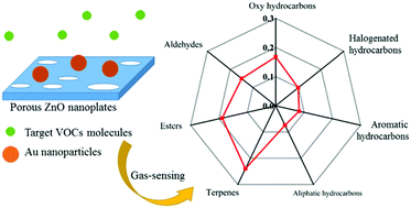Graphical abstract: Au-deposited porous single-crystalline ZnO nanoplates for gas sensing detection of total volatile organic compounds
