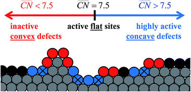 Graphical abstract: Why conclusions from platinum model surfaces do not necessarily lead to enhanced nanoparticle catalysts for the oxygen reduction reaction