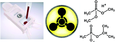 Graphical abstract: Detection of chemical warfare agent simulants and hydrolysis products in biological samples by paper spray mass spectrometry