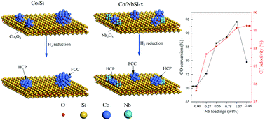 Graphical abstract: In situ investigation on Co-phase evolution and its performance for Fischer–Tropsch synthesis over Nb-promoted cobalt catalysts