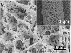 Graphical abstract: Constructing three-dimensional porous Ni/Ni3S2 nano-interfaces for hydrogen evolution electrocatalysis under alkaline conditions