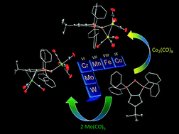 Graphical abstract: Accessing multimetallic complexes with a phosphorus(i) zwitterion