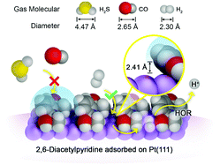 Graphical abstract: Constructing canopy-shaped molecular architectures to create local Pt surface sites with high tolerance to H2S and CO for hydrogen electrooxidation