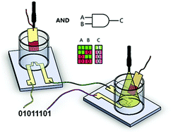 Graphical abstract: Light sensors and opto-logic gates based on organic electrochemical transistors