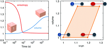 Graphical abstract: Coupled swelling and nematic reordering in liquid crystal gels