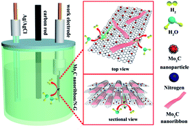 Graphical abstract: A 2D free-standing film-inspired electrocatalyst for highly efficient hydrogen production