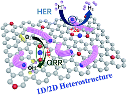 Graphical abstract: Co,N-codoped nanotube/graphene 1D/2D heterostructure for efficient oxygen reduction and hydrogen evolution reactions