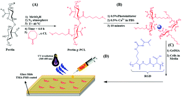 Graphical abstract: Interpenetrating network gelatin methacryloyl (GelMA) and pectin-g-PCL hydrogels with tunable properties for tissue engineering