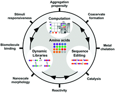 Graphical abstract: Guiding principles for peptide nanotechnology through directed discovery