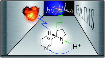 Graphical abstract: Selecting and identifying gas-phase protonation isomers of nicotineH+ using combined laser, ion mobility and mass spectrometry techniques