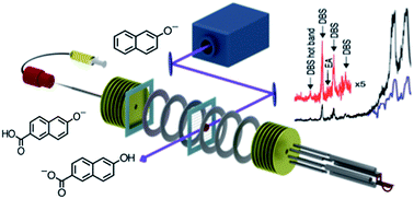 Graphical abstract: Photodetachment and photoreactions of substituted naphthalene anions in a tandem ion mobility spectrometer