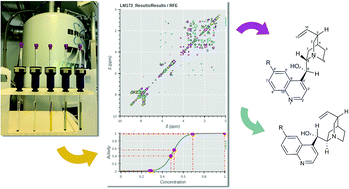 Graphical abstract: Automatised pharmacophoric deconvolution of plant extracts – application to Cinchona bark crude extract