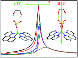 Graphical abstract: A novel co-crystallization molecular ferroelectric induced by the ordering of sulphate anions and hydrogen atoms