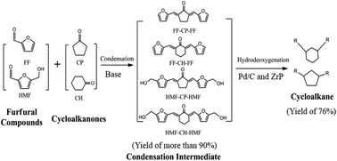 Graphical abstract: Production of renewable long-chained cycloalkanes from biomass-derived furfurals and cyclic ketones