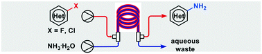 Graphical abstract: Continuous amination of aryl/heteroaryl halides using aqueous ammonia in a Teflon AF-2400 tube-in-tube micro-flow reactor