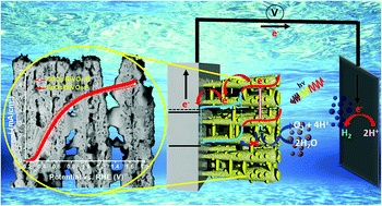 Graphical abstract: Substantially enhanced front illumination photocurrent in porous SnO2 nanorods/networked BiVO4 heterojunction photoanodes