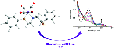 Graphical abstract: Synthesis, characterization and biological evaluation of new manganese metal carbonyl compounds that contain sulfur and selenium ligands as a promising new class of CORMs