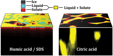 Graphical abstract: Emerging investigator series: spatial distribution of dissolved organic matter in ice and at air–ice interfaces