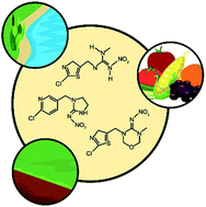 Graphical abstract: A critical review on the potential impacts of neonicotinoid insecticide use: current knowledge of environmental fate, toxicity, and implications for human health