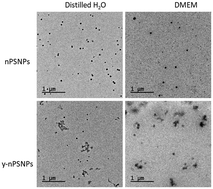 Graphical abstract: Nanoplastics as a potential environmental health factor: effects of polystyrene nanoparticles on human intestinal epithelial Caco-2 cells