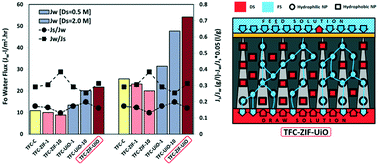 Graphical abstract: Channelization of water pathway and encapsulation of DS in the SL of the TFC FO membrane as a novel approach for controlling dilutive internal concentration polarization