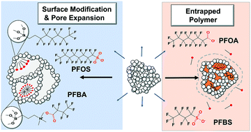 Graphical abstract: Absorption of short-chain to long-chain perfluoroalkyl substances using swellable organically modified silica