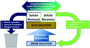 Graphical abstract: Reduction of reverse solute flux induced solute buildup in the feed solution of forward osmosis