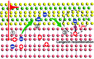 Graphical abstract: Ultrafast free carrier dynamics in black phosphorus–molybdenum disulfide (BP/MoS2) heterostructures