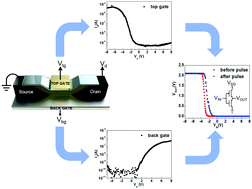 Graphical abstract: Polarity-controllable MoS2 transistor for adjustable complementary logic inverter applications