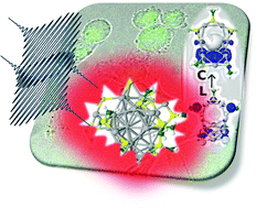 Graphical abstract: Enhanced two-photon absorption of ligated silver and gold nanoclusters: theoretical and experimental assessments