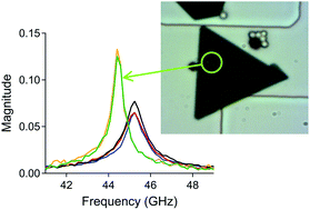 Graphical abstract: Mass loading effects in the acoustic vibrations of gold nanoplates