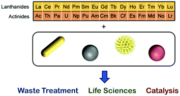 Graphical abstract: Transforming lanthanide and actinide chemistry with nanoparticles