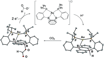 Graphical abstract: CO2 reduction with protons and electrons at a boron-based reaction center