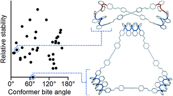 Graphical abstract: Macrocycles of higher ortho-phenylenes: assembly and folding