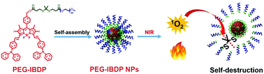 Graphical abstract: Self-destructive PEG–BODIPY nanomaterials for photodynamic and photothermal therapy